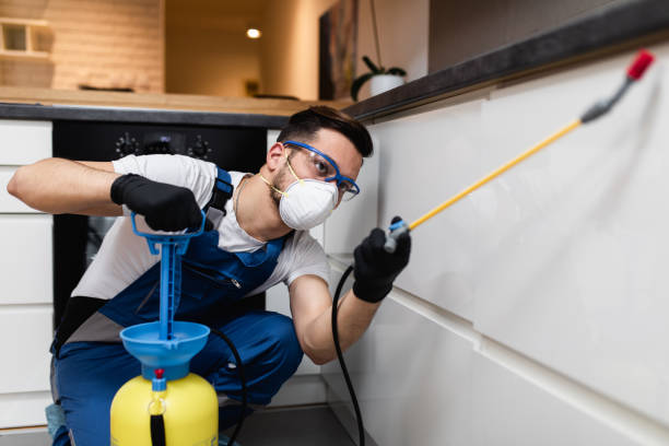 Best Pest Control Near Me  in Coulee Dam, WA