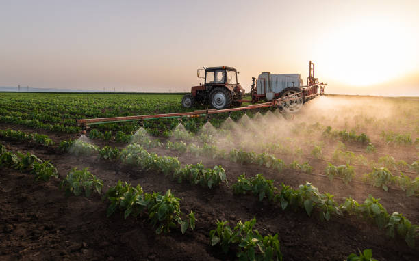 Best Pest Control for Restaurants  in Coulee Dam, WA