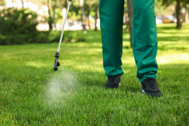 Best Residential Pest Control  in Coulee Dam, WA