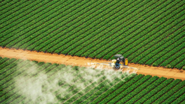 Professional Pest Control in Coulee Dam, WA