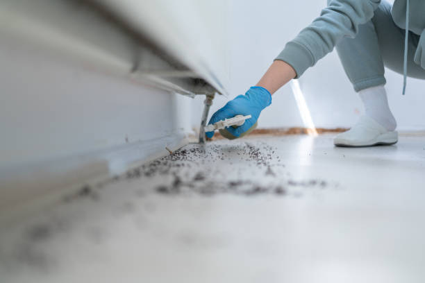 Best Bed Bug Extermination  in Coulee Dam, WA