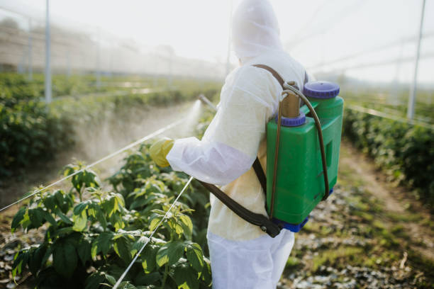 Best Wasp Removal Services  in Coulee Dam, WA